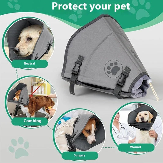 Adjustable pet sterilisation collar showing buckle closure and polyester material texture