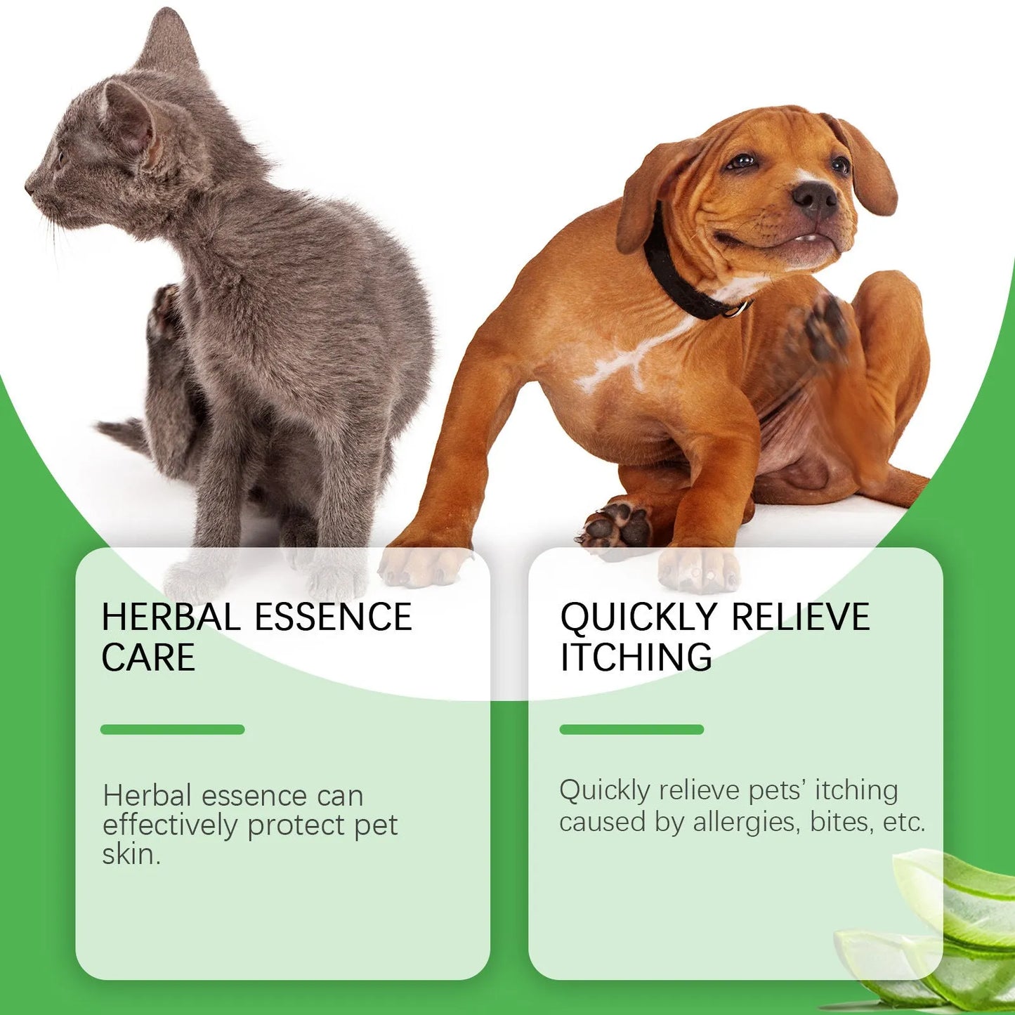 60g jar of natural pet antipruritic cream for cats with tea tree oil and aloe vera extracts.
