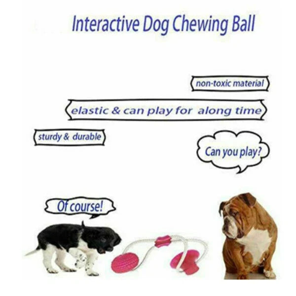 Multi-Function Dog Chew Toy for Dental Care
