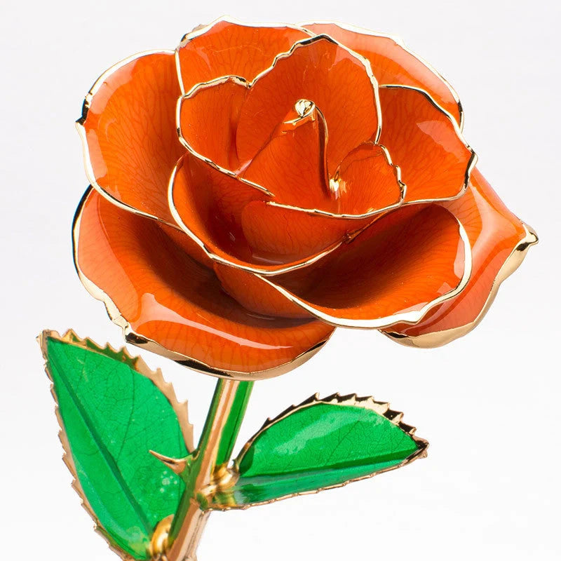 24K gold-plated rose in elegant gift box, perfect for Valentine's Day
