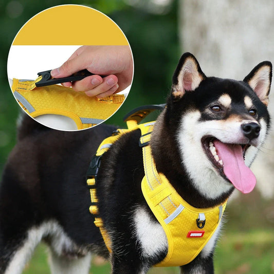 Reflective pet chest strap in multiple colours with adjustable sizing for dog walking safety