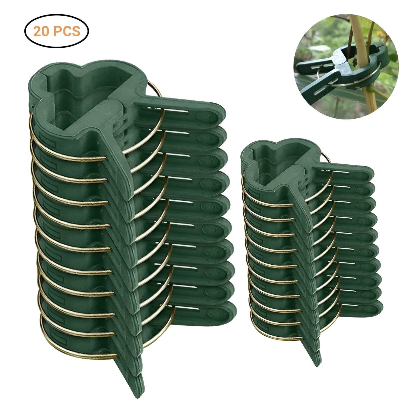 Green plastic plant fixing clips, large and small sizes, holding a tomato stem to a garden cane.
