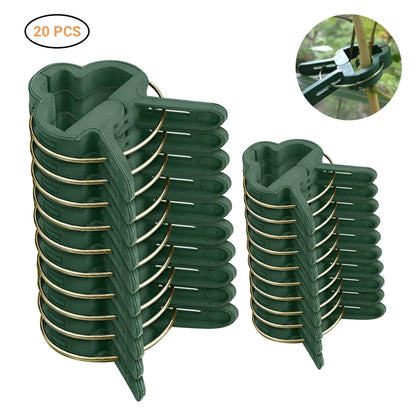Green plastic plant fixing clips, large and small sizes, holding a tomato stem to a garden cane.