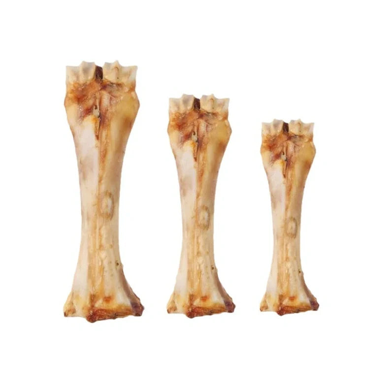 Puppy molar rod with textured surface for teeth cleaning and calcium supplementation