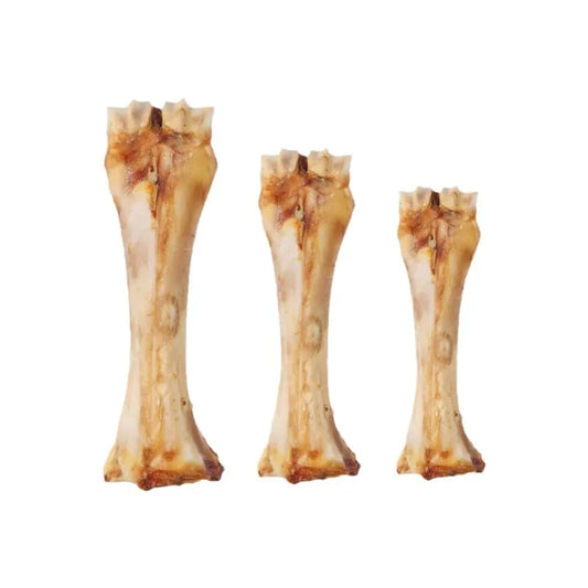 Pet molar rod dental chew for dogs in three sizes with high-calcium formulation and roasted ox bone flavour