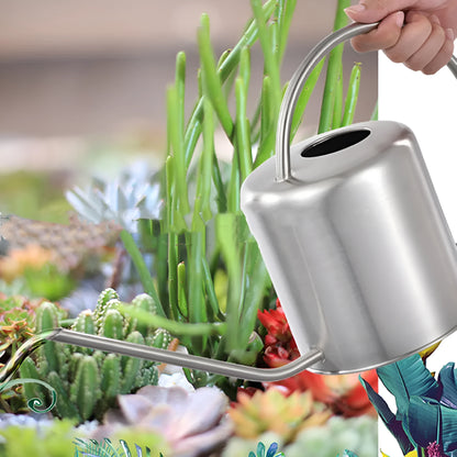 Stainless steel 2 litre watering can with long spout for garden use in black, gold, and stainless steel finishes