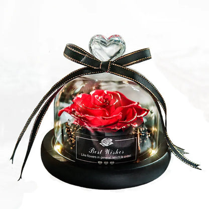 LED eternal real rose preserved in a glass dome home decor with colour options.