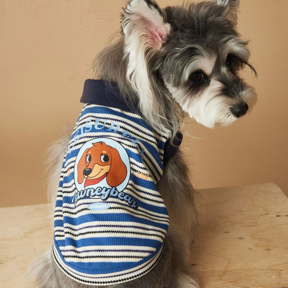 Tony Bear dog striped polo shirt in cotton, blue or brown, sizes XS to XXL, casual pet clothing