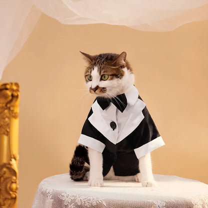 A dog wearing a black Chinese-style gentleman four-legged suit for weddings.