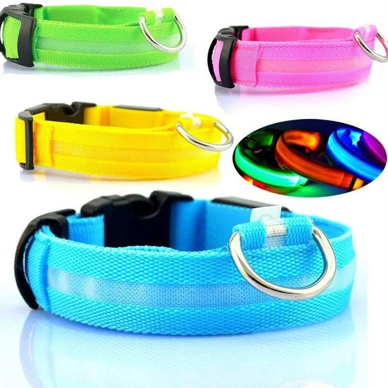 Nylon LED dog safety collar with illuminated fibre optic lights in blue colour, adjustable buckle, and waterproof construction