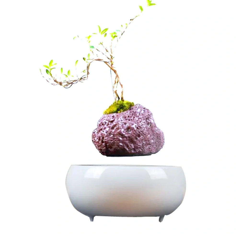 Magnetic levitation potted plant ornament floating bonsai at 15 mm in white stripes, plastic base with 12V power