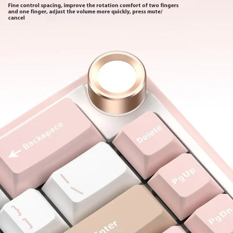 Wireless mechanical keyboard with RGB lighting in multiple colour options
