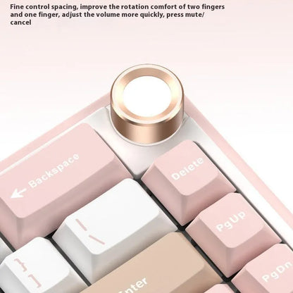 Wireless mechanical keyboard with RGB lighting in multiple colour options