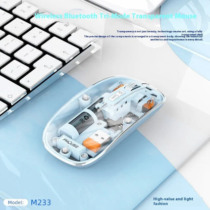 Transparent wireless computer mouse showing internal components with USB connection