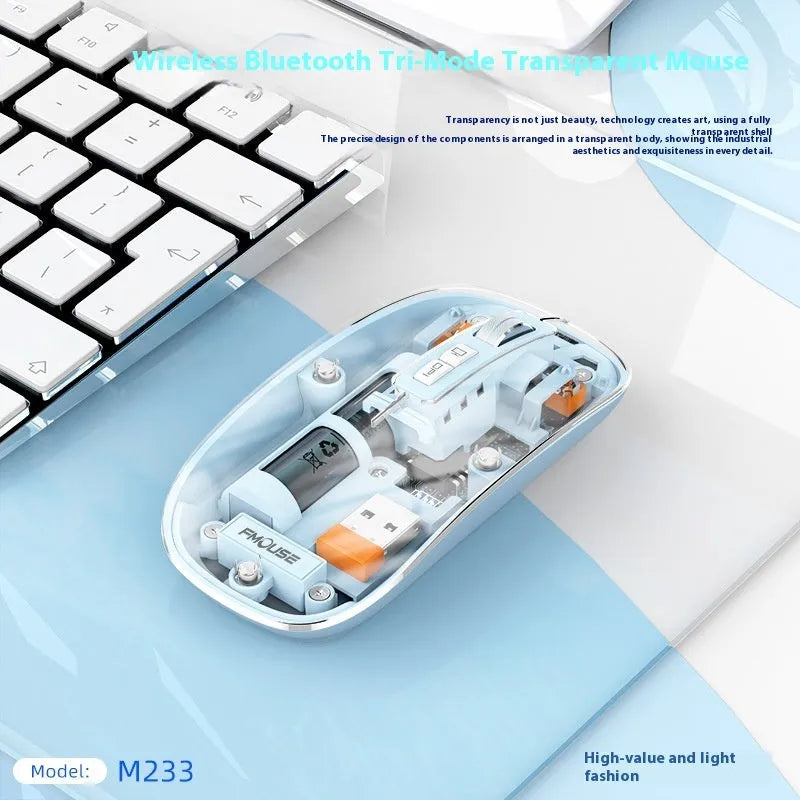 Wireless computer mouse for desktop PCs and laptops transparent plastic case rechargeable battery USB connection office home use in fruit Dew White space-like gray Space blue vibrant orange sugar snap peas sauce youth pink colours