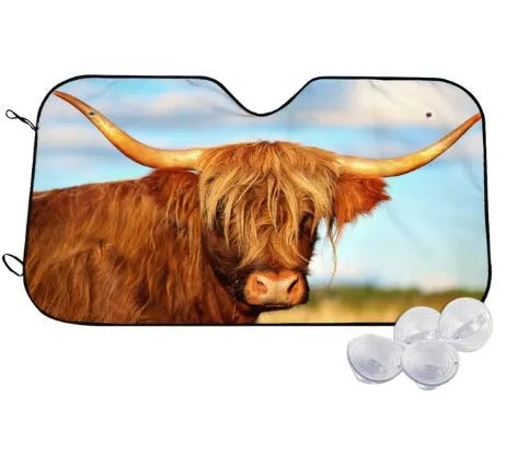 Telescopic aluminium foil car sun visor extended on a car windscreen