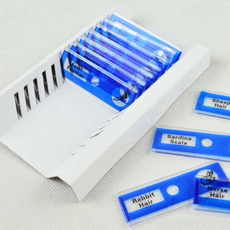 Set of coloured plastic microscope slides for children with prepared plant and animal specimens.