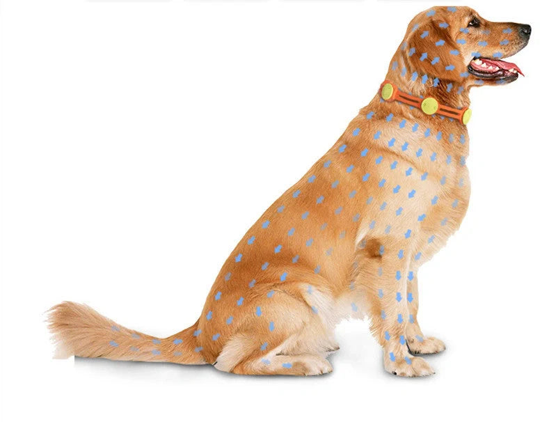 Adjustable pet flea and mosquito repellent collar with natural essential oils