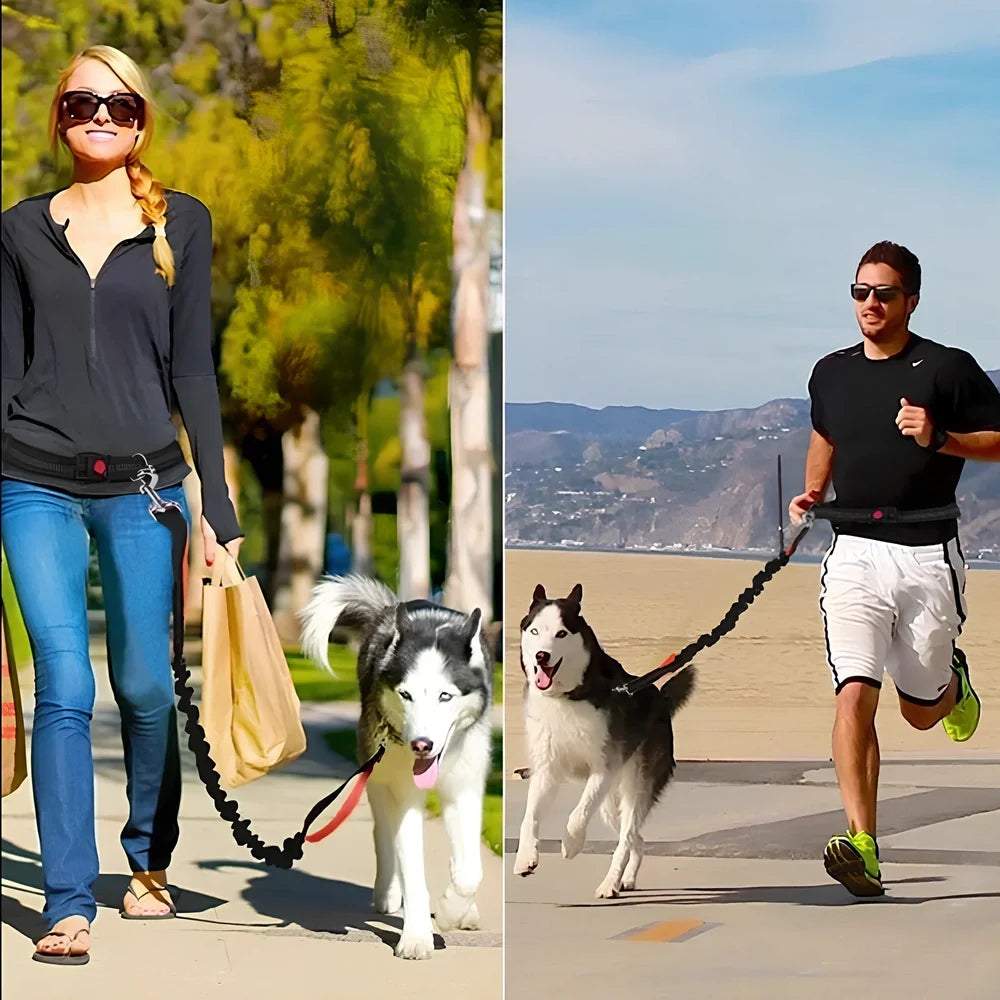 Adjustable fluorescent green nylon pet leash with sliding mechanism showing 150cm length