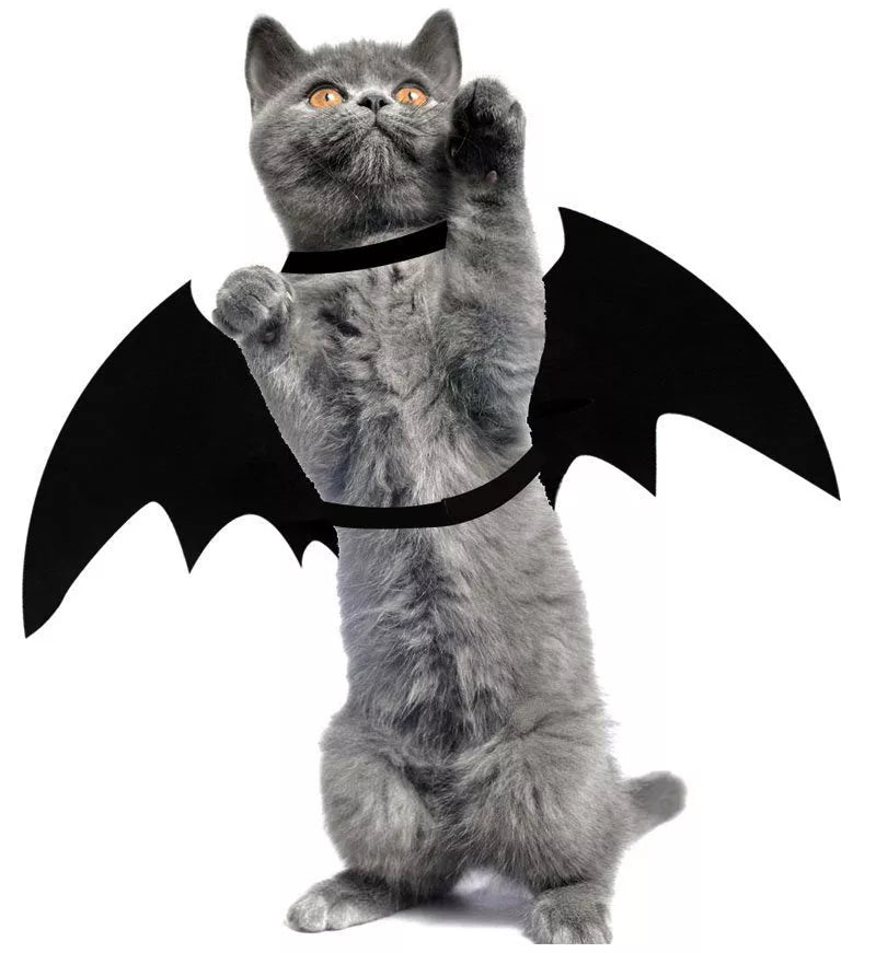 Adjustable black bat wing costume for pets, perfect for Halloween