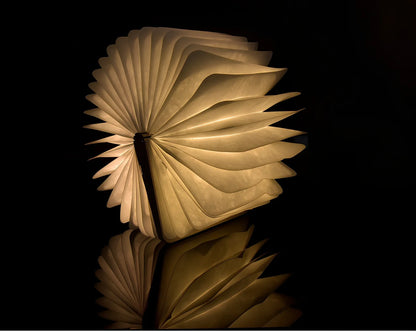 LED book lamp with wooden cover open at angle showing illuminated pages and USB cable