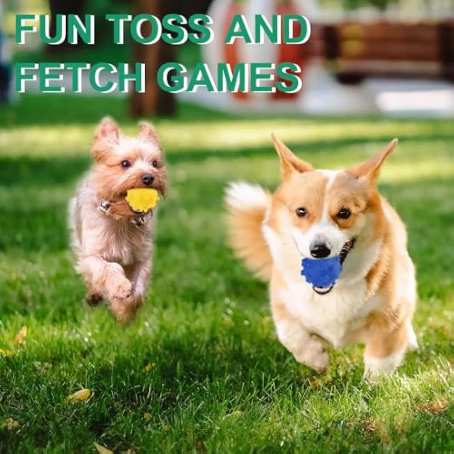 Four colourful spiky dog balls with paw print dimples, measuring 2 inches diameter for small breed dogs