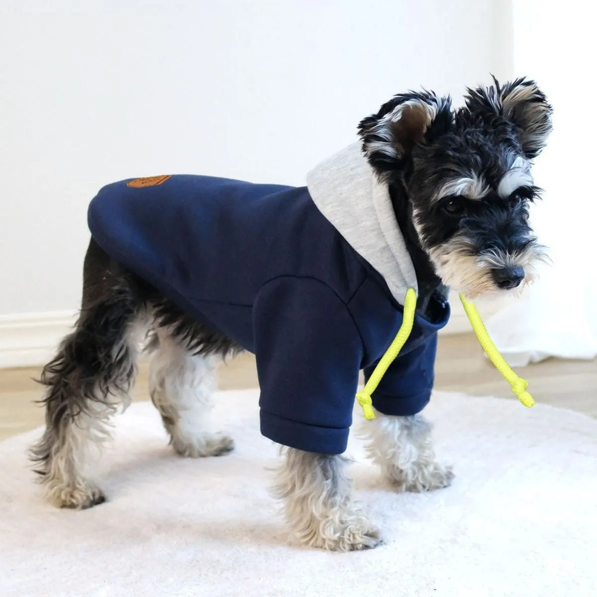 British style hooded pullover for pets with contrasting colour panels in polyester fabric