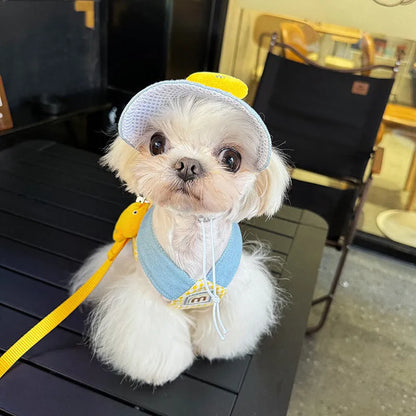 Pet wire rope pulling set with harness leash and cat clothes in four sizes for spring summer outdoor use