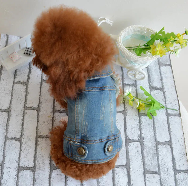 Dark denim dog vest with retro scratch pattern and button front closure on a small white dog.