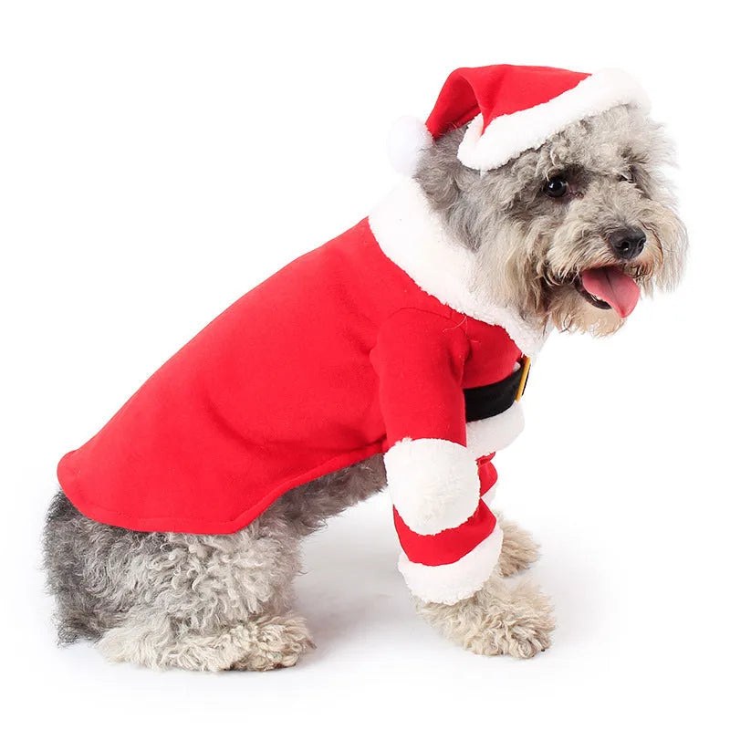 Red polar fleece Santa Claus costume for pets on dog with Christmas background