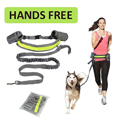 Adjustable hands-free dog leash set in gray, black, green, or red with waist and sundries bags