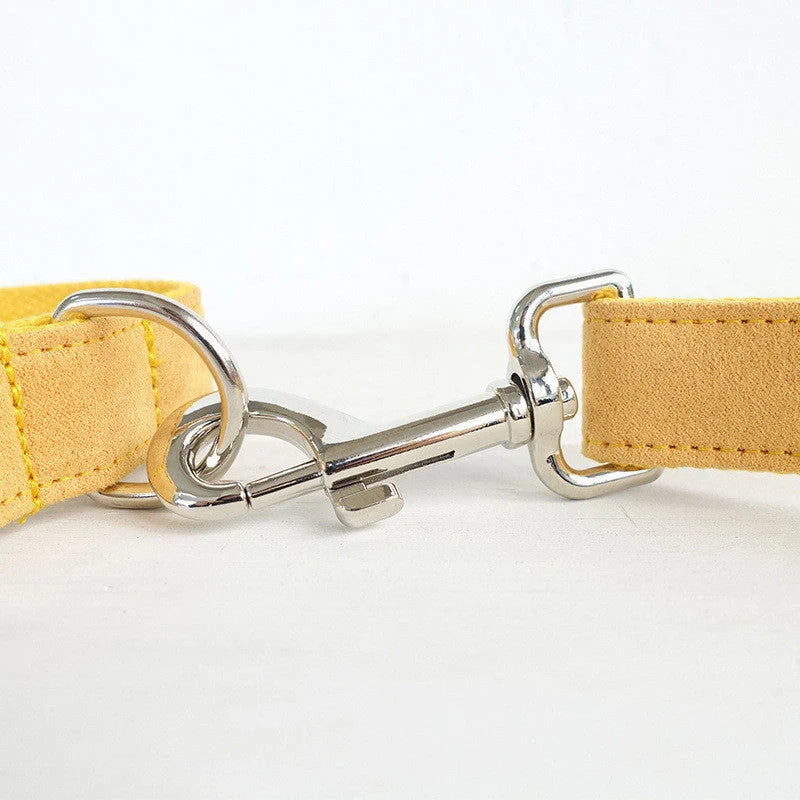 Nala bright yellow dog collar and leash set for safety and visibility