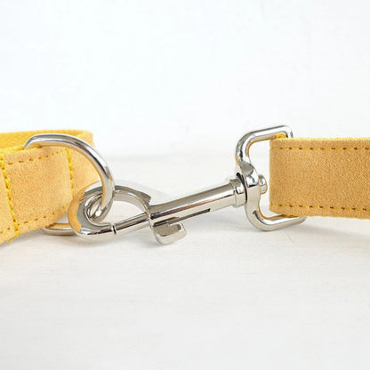 Nala bright yellow dog collar and leash set for safety and visibility