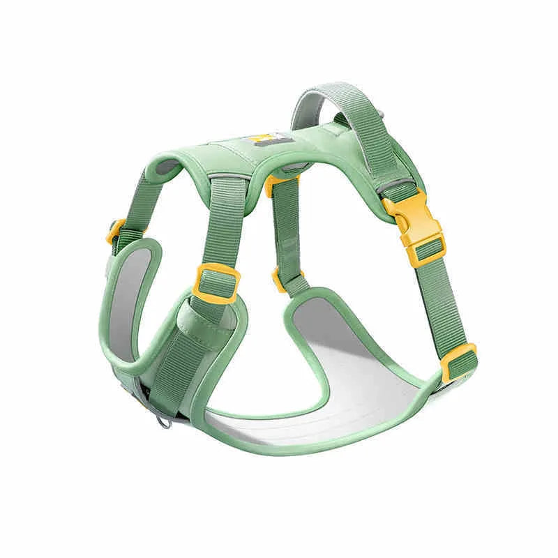 Dog wearing a chest strap harness with an attached hand holding rope in a choice of five colours.