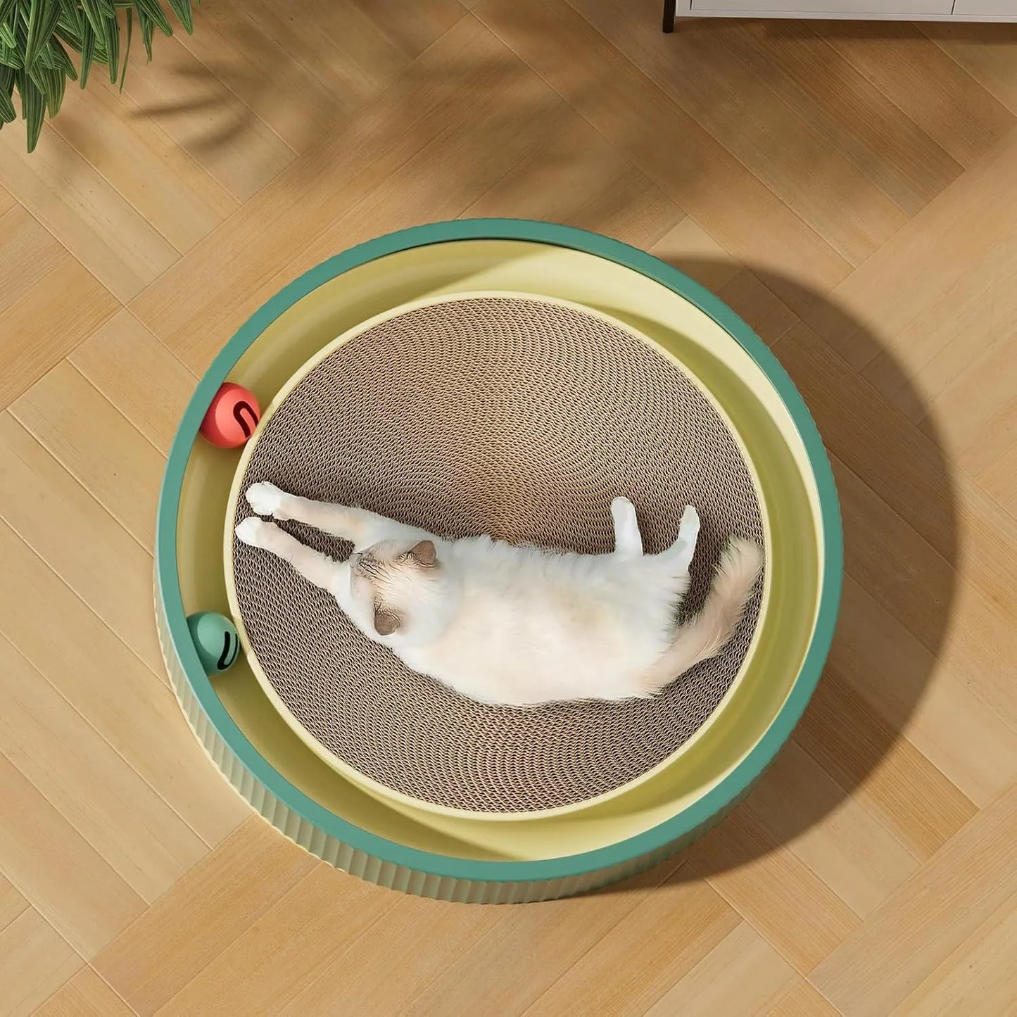 Green cat scratching board with 45cm diameter, high-density cardboard, and integrated ball toys for indoor cats