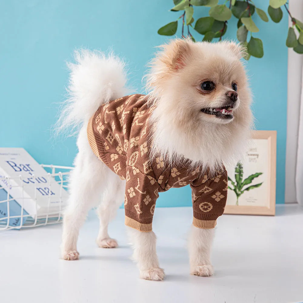 Thick wool dog sweater in monochrome colour on medium-sized dog during autumn