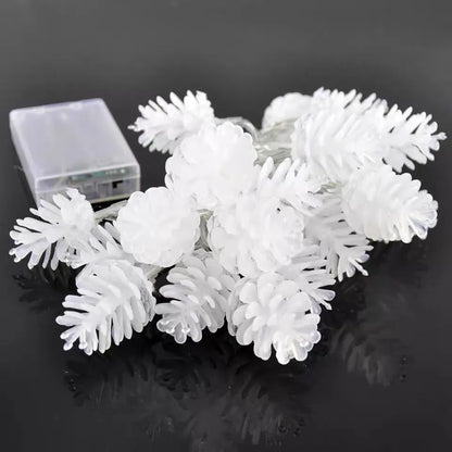 LED simulation transparent pine nut light string in warm white, true white, or colour with PVC shell and USB or battery box power options.