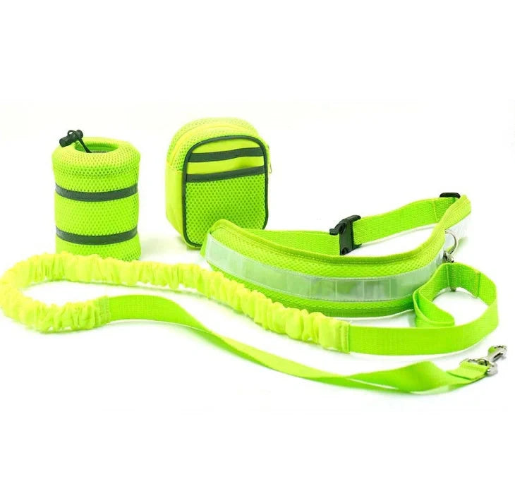 Adjustable hands-free dog leash set in gray, black, green, or red with waist and sundries bags