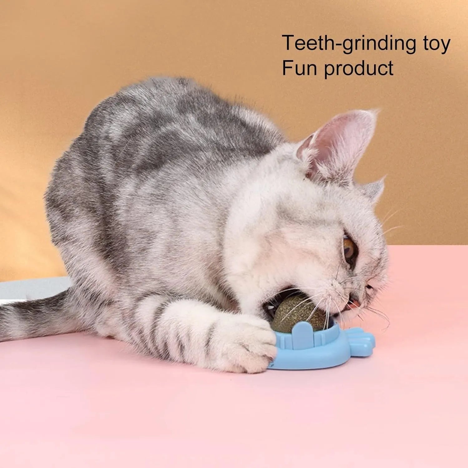 Blue carrot-shaped cat toy with adhesive back and separate white cover, for wall mounting.
