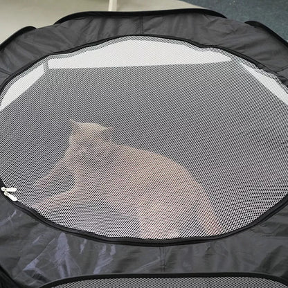 Foldable cat tunnel with removable design, perfect for play and rest