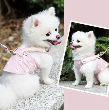 Durable and breathable small dog harness and leash set in various colors and sizes