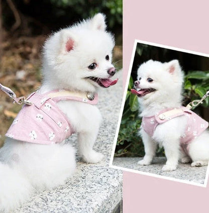 Durable and breathable small dog harness and leash set in various colors and sizes