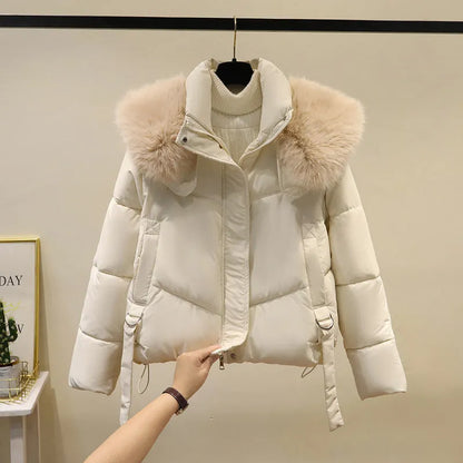 Women's short cotton-padded jacket with stand-up collar in claret, brown, black, or white colours