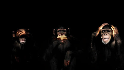 Abstract monkey spray painting on frameless canvas wall art modern decoration