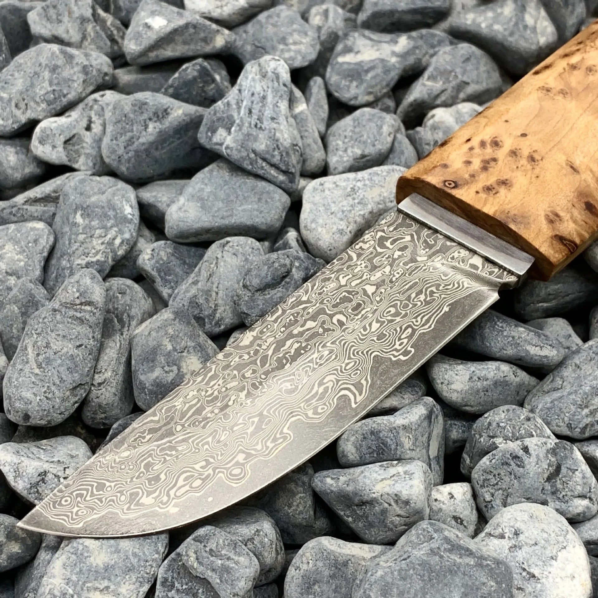 Outdoor Damascus steel short knife with Thuja wood handle showing 18cm length