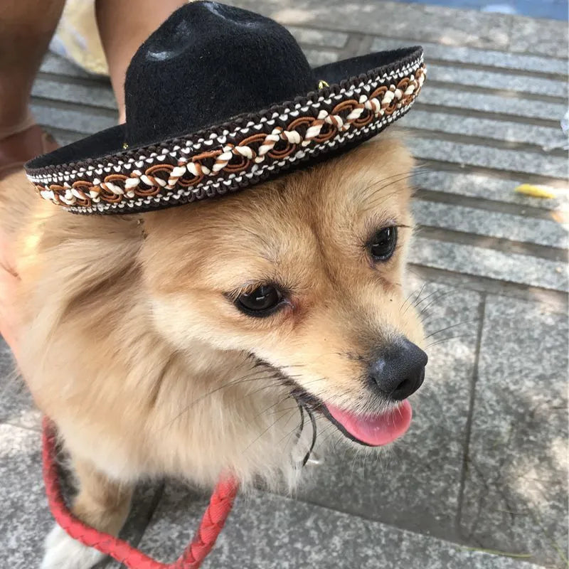 Mexican style cloth pet hat with 17cm diameter in red ball or brown lace options