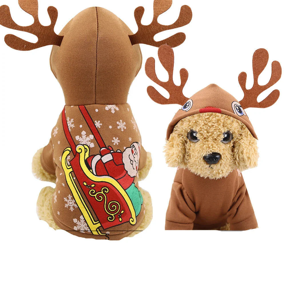 Cozy Canine Couture: Premium pet clothing collection featuring stylish and comfortable designs for your furry friend