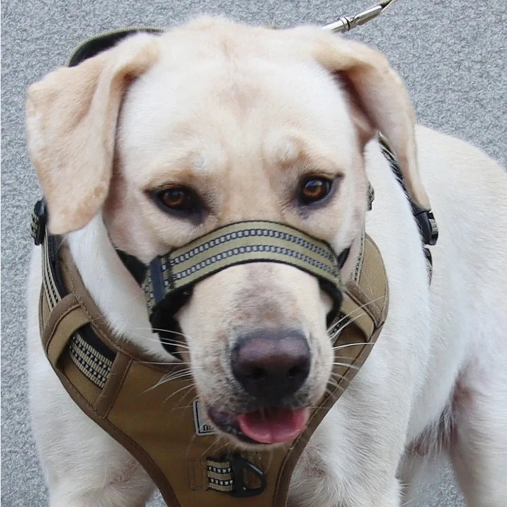 Adjustable black basket dog muzzle with reflective strips on a medium-sized dog