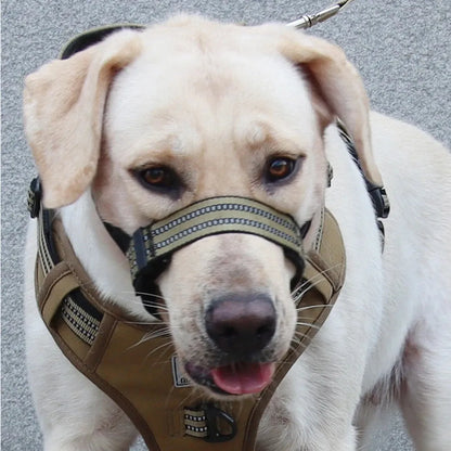 Adjustable black basket dog muzzle with reflective strips on a medium-sized dog