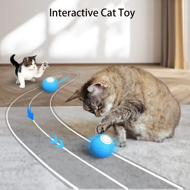 Cat toy remote control ball with motion activation and sound effects, interactive rolling ball for indoor feline enrichment, colourful plastic pet smart toy for cats bored at home.